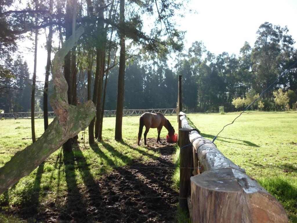 Hacienda La Carriona Hotell Sangolquí Exteriör bild