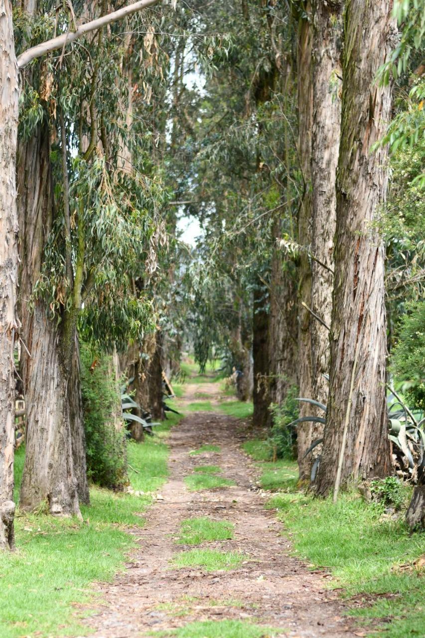 Hacienda La Carriona Hotell Sangolquí Exteriör bild